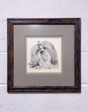 Load image into Gallery viewer, Vintage Framed Sketch of a Shih Tzu by M. Tinoro