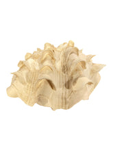 Load image into Gallery viewer, Fluted Clam Seashell