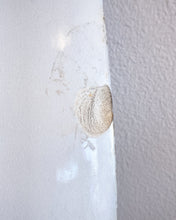 Load image into Gallery viewer, Antique Royal Watteau Doulton Blue and White Platter -Serenade