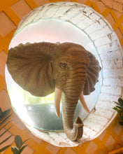 Load image into Gallery viewer, Large Elephant Head Wall Hanging