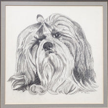 Load image into Gallery viewer, Vintage Framed Sketch of a Shih Tzu by M. Tinoro