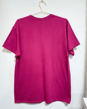 Load image into Gallery viewer, Alaska T-Shirt (L)