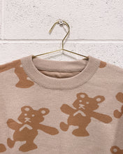 Load image into Gallery viewer, Teddy Bear Pullover Sweater