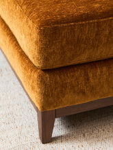 Load image into Gallery viewer, Lisette 3 piece in Thriller Amber