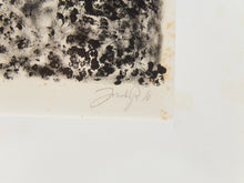 Load image into Gallery viewer, Birds in the Trees Lithograph