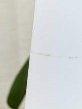 Load image into Gallery viewer, White Sculptural Floor Lamp