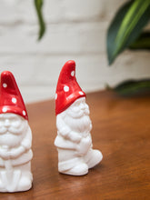 Load image into Gallery viewer, Knome Salt and Pepper Shakers