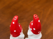 Load image into Gallery viewer, Knome Salt and Pepper Shakers