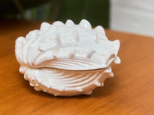 Load image into Gallery viewer, Large White Ceramic Seashell