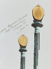 Load image into Gallery viewer, Artist Teale Hatheway Set of 4