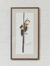 Load image into Gallery viewer, Artist Teale Hatheway Set of 4