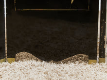 Load image into Gallery viewer, Mother of Pearl Exquisite Asian Room Divider