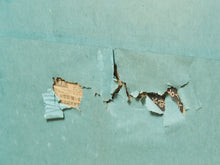 Load image into Gallery viewer, Korean Asian Large 8-Panel Silk Embroidered Peacock Bird Butterfly Screen, 1900s