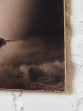 Load image into Gallery viewer, Hollywood Starlett