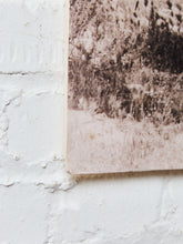 Load image into Gallery viewer, California Living Hollywood Photo