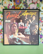 Load image into Gallery viewer, Furia! Amaya, Framed