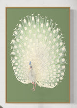 Load image into Gallery viewer, Peacock Art