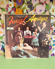 Load image into Gallery viewer, Furia! Amaya, Framed