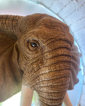 Load image into Gallery viewer, Large Elephant Head Wall Hanging