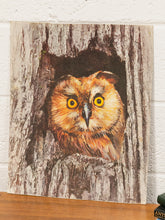 Load image into Gallery viewer, Mid Century Owl