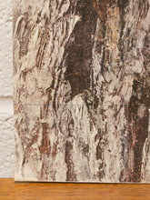 Load image into Gallery viewer, Mid Century Owl