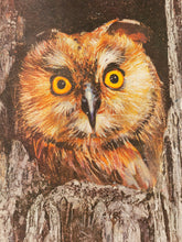 Load image into Gallery viewer, Mid Century Owl