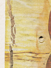 Load image into Gallery viewer, Vintage Still Life Fruits Flowers Print