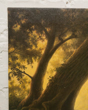 Load image into Gallery viewer, Windberg River Print