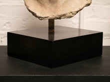 Load image into Gallery viewer, Head Bust Sculpture of David