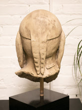 Load image into Gallery viewer, Head Bust Sculpture of David