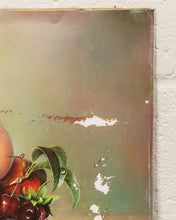 Load image into Gallery viewer, Still Life of Peaches