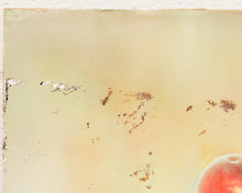 Load image into Gallery viewer, Still Life of Peaches
