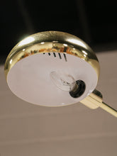 Load image into Gallery viewer, Five Branch Floor Lamp