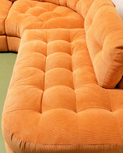 Load image into Gallery viewer, Prima with Double Bumpers in Parallel Tobacco