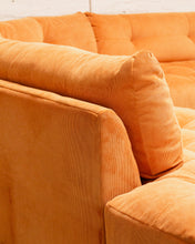 Load image into Gallery viewer, Prima with Double Bumpers in Parallel Tobacco