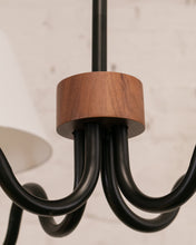 Load image into Gallery viewer, Squiggle Chandelier