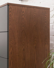 Load image into Gallery viewer, Anaith Highboy