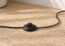 Load image into Gallery viewer, Lyra charcoal floor lamp with angled satin brass rod, swivel metal shade and round black base