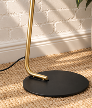 Load image into Gallery viewer, Lyra charcoal floor lamp with angled satin brass rod, swivel metal shade and round black base