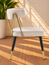 Load image into Gallery viewer, Morse dining chair in Pearl Cream velvet with matte black metal legs and gold frame and leg tip details