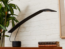 Load image into Gallery viewer, Vintage 1984 Italian Paf Mario Barbaglia and Marco Colombo Dove Lamp