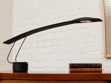 Load image into Gallery viewer, Vintage 1984 Italian Paf Mario Barbaglia and Marco Colombo Dove Lamp