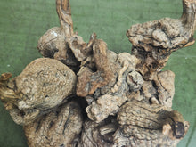 Load image into Gallery viewer, Petrified 1960s Brown Wood Coffee Table Glass Top