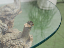 Load image into Gallery viewer, Petrified 1960s Brown Wood Coffee Table Glass Top