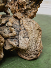 Load image into Gallery viewer, Petrified 1960s Brown Wood Coffee Table Glass Top