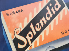 Load image into Gallery viewer, Splendid Habana Large Art Painting