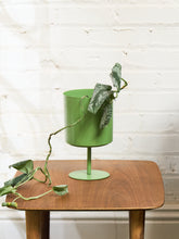 Load image into Gallery viewer, Green Tulip Planter - Small