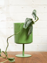 Load image into Gallery viewer, Green Tulip Planter - Small