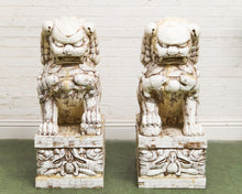 Load image into Gallery viewer, Pair of Monumental Carved Ox Bone Guardian Lions on Plinths