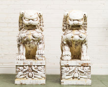 Load image into Gallery viewer, Pair of Monumental Carved Ox Bone Guardian Lions on Plinths